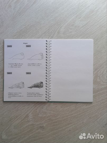Детский блокнот для рисования пошаговый