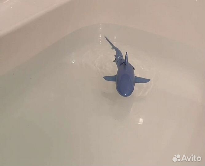 Игрушка Акула на пульте управления