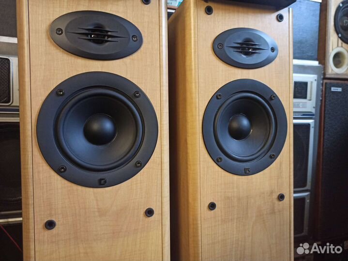 Наполная акустика celestion f2