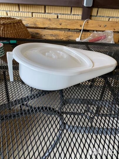 Утка медицинская