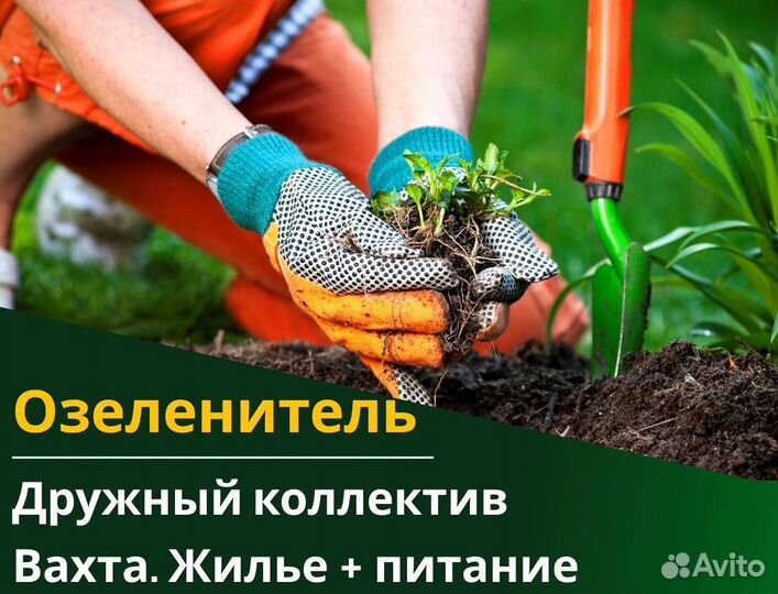 Вахта 60/30 Жильё питание / Озеленитель