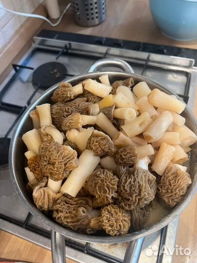 Сморчки новый урожай