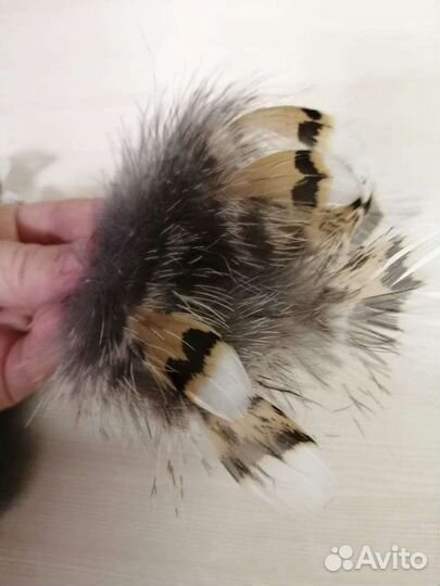 Перья капалухи