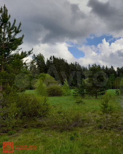 Участок 4,2 га (СНТ, ДНП)