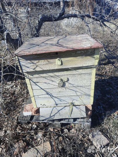 Улий для пчел
