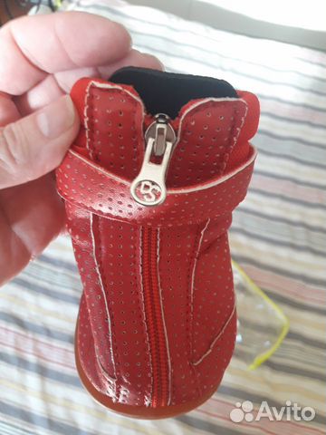 Обувь для собак (средних/сука бультерьер)