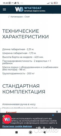 Катамаран скат