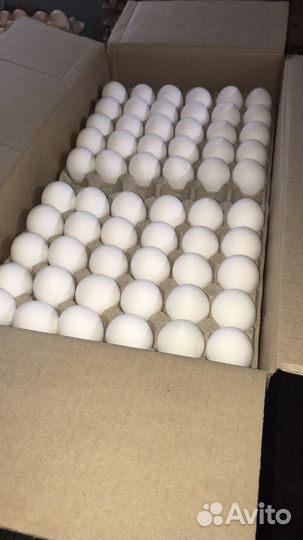 Кремовое яйцо. Куриное яйцо