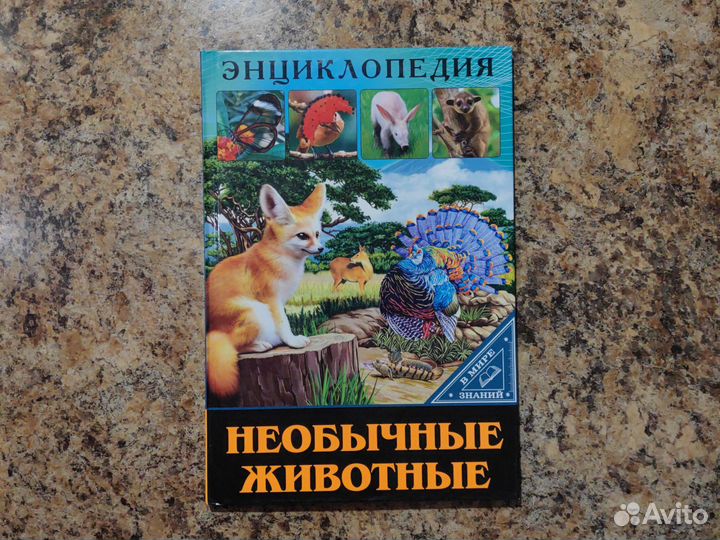 Развивающие книги для детей