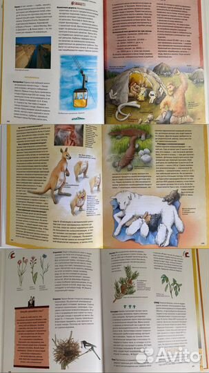 Энциклопедический словарь. Ридерз Дайджест