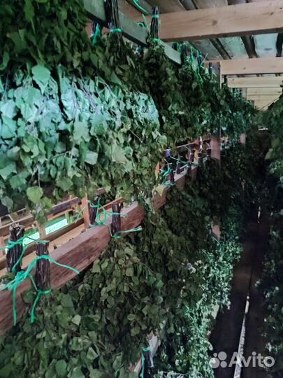 Веники банные