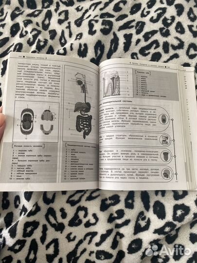 Справочник для подготовки к ОГЭ и ЕГЭ по биологии