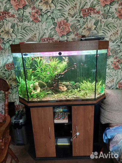 Аквариум с тумбой 200 литров