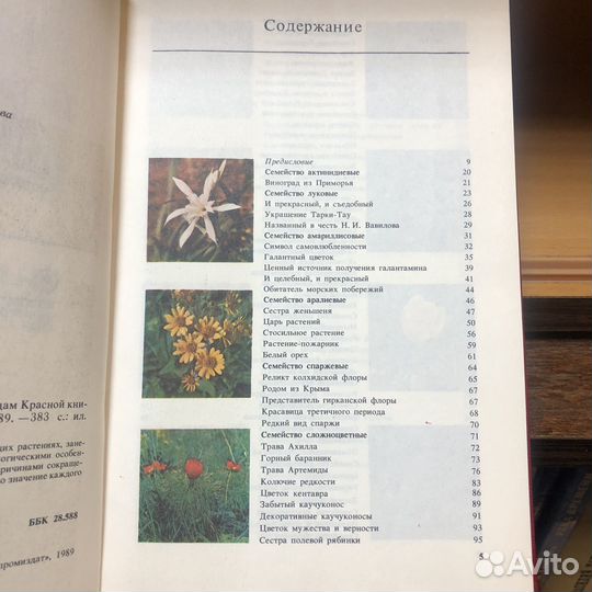 Редкие и исчезающие растения. 1989 г. Артамонов