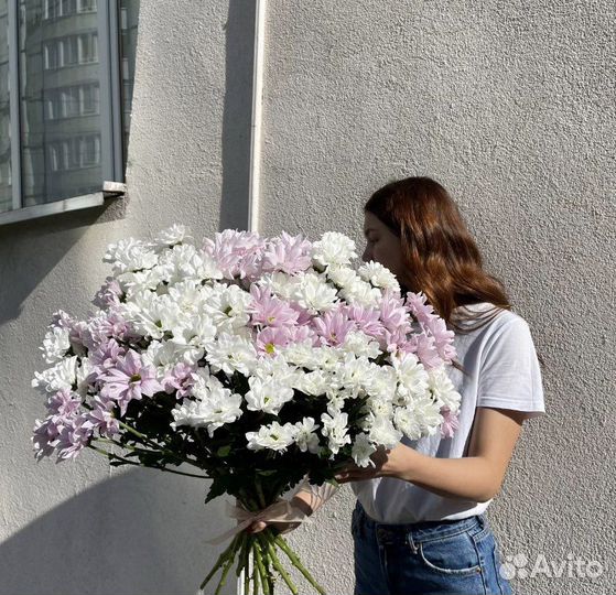 Хризантема