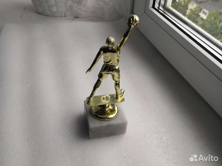 Кубок победителя баскетболиста данков