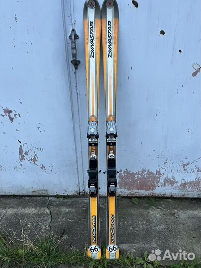 Горные лыжи