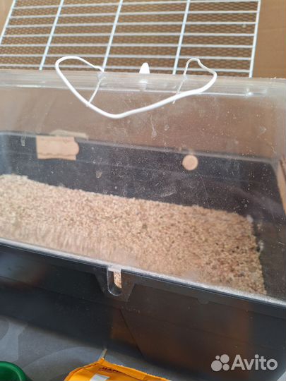 Дюна клетка для хомяка Savic 