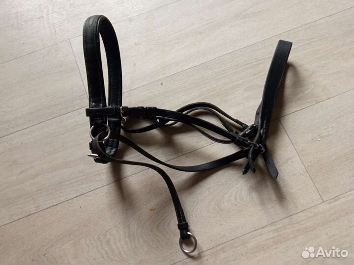 Уздечки и подруги