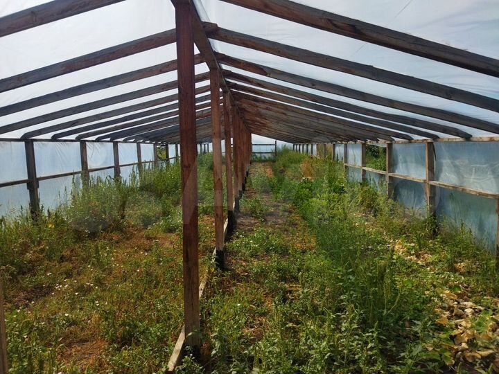 Дом 50 м² на участке 42 сот.