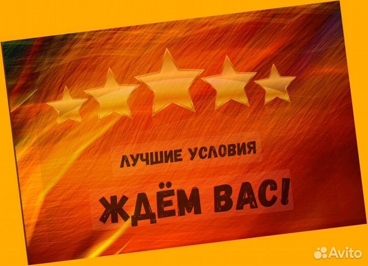 Наборщик заказов Без опыта Еженедельные выплаты