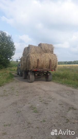 Продам сено (сеянные травы) в рулонах свежий укос