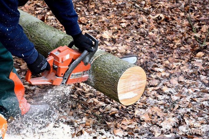 Расчистка участка от деревьев