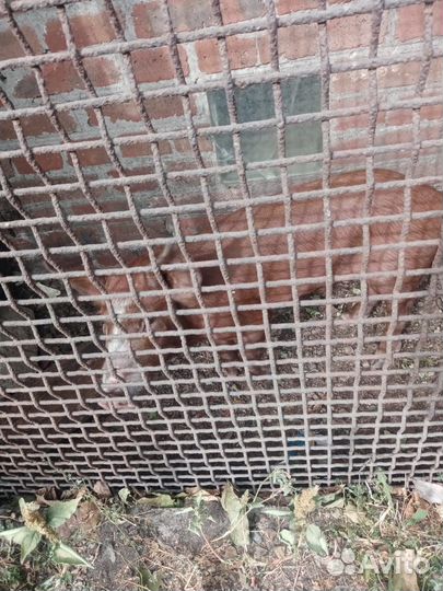 Поросята мясные