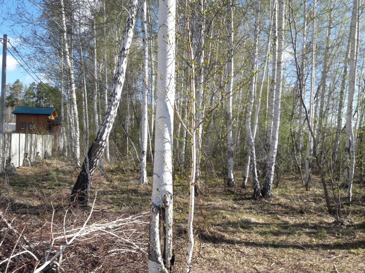 Участок 5 сот. (ИЖС)