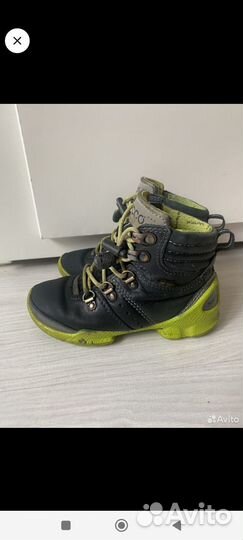 Ecco biom gore tex