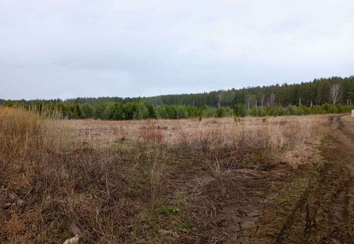 Участок 13 сот. (ИЖС)