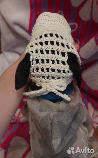 Новая кепка-панама для собачки