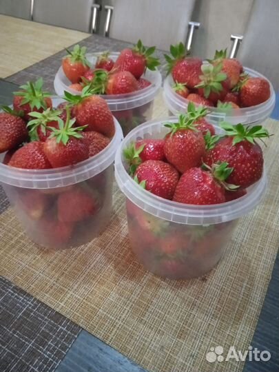 Клубника свежая ягода