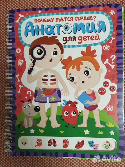 Анатомия для детей книга