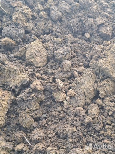 Перегной удобрения навоз