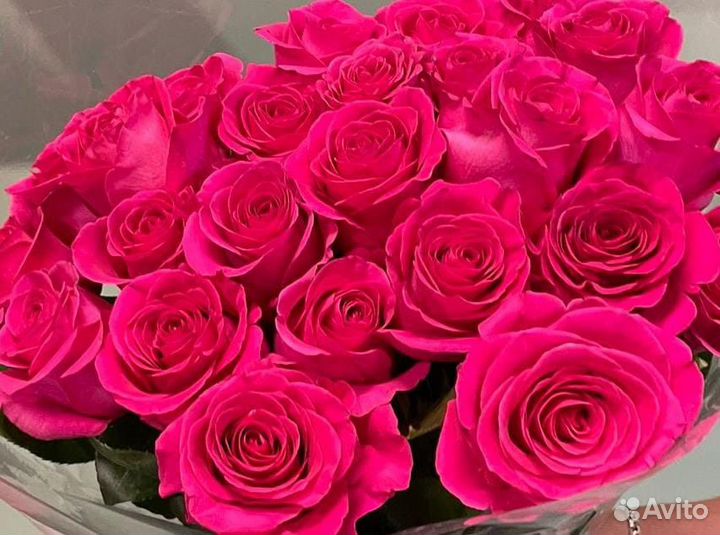 Розы эквадор