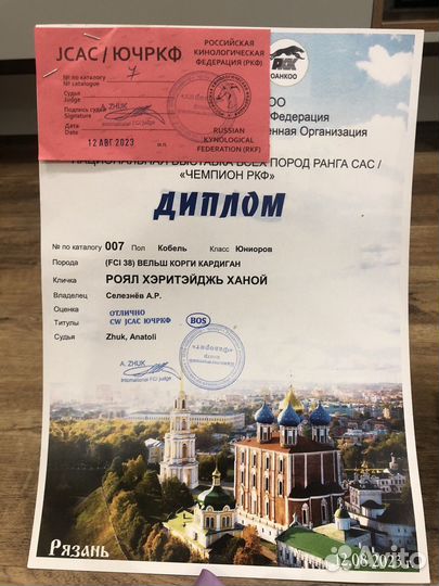 Корги кардиган вязка