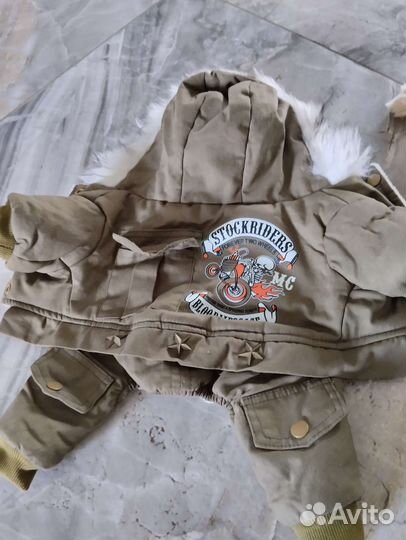 Куртка для собак мелких пород