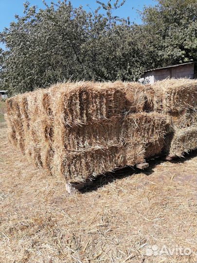 Сено в тюках