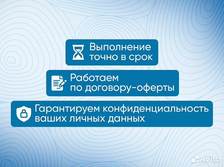 Выпускная квалификационная работа