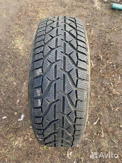 Tigar Winter 215/60 R16 99H