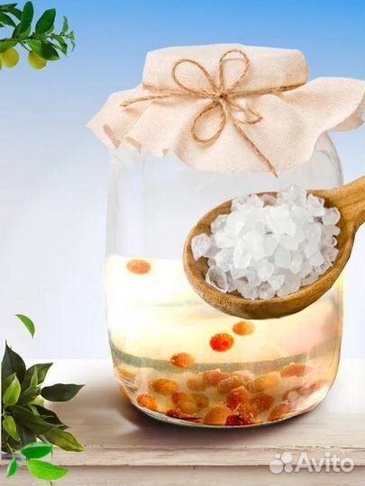 Индийский морской рис (рисовый гриб)