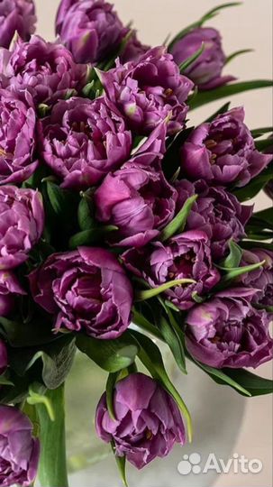 Букет тюльпанов