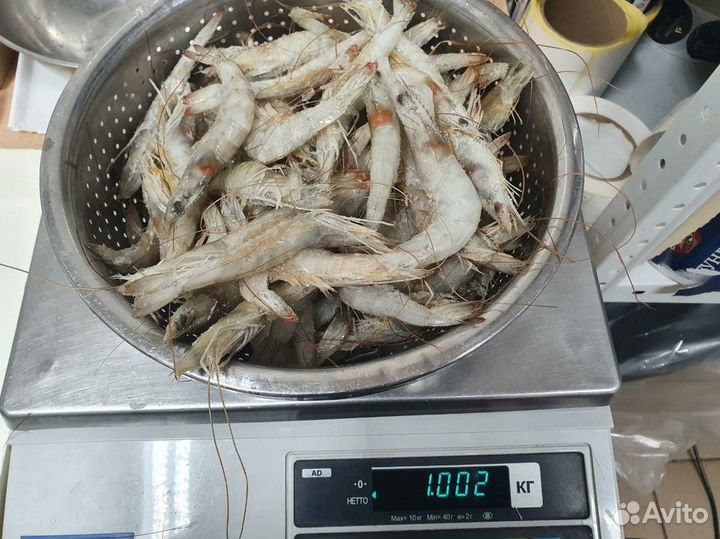 10 кг оптовые поставки Креветки все размеры, оптом