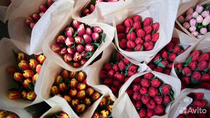 Тюльпаны для организаций