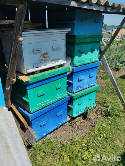 Ульи для пчел