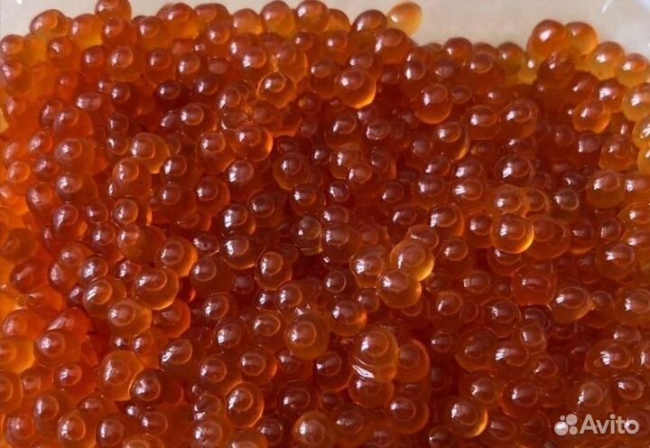 Икра Кеты, Горбуши, Нерки и Кижуча из Охотска