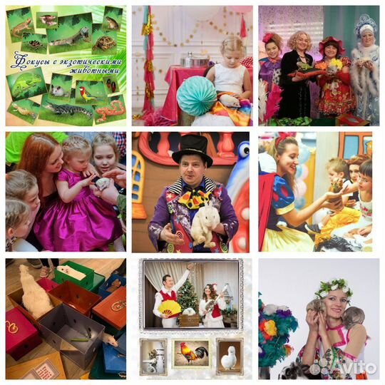 Шоу мини - пигов, любые хищники, птицы, цирк - шоу