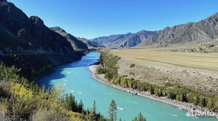 Турпутевка Алтай летний от 5 до 9 д