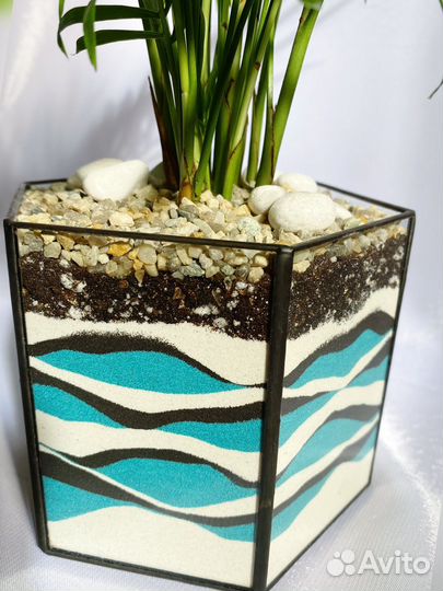 Флорариум призма